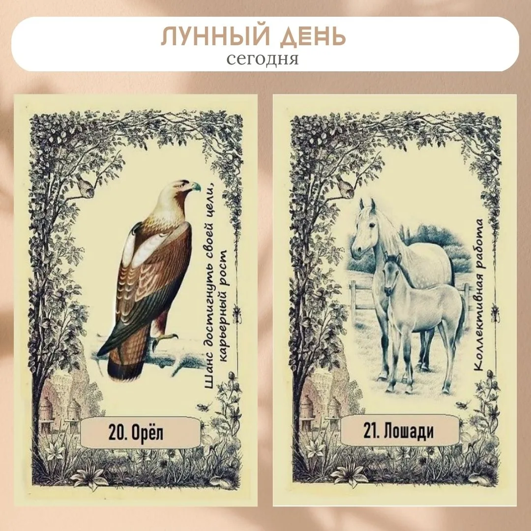 Сегодня 1 октября 2026, 20-21 лунный день.