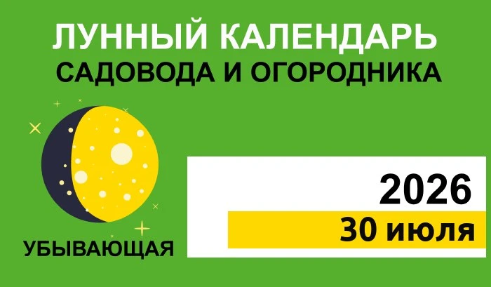 30 июля — четверг, 16 лунные сутки. Луна в Водолее. Убывающая Луна ✅ Работы: уборка листвы, удаление