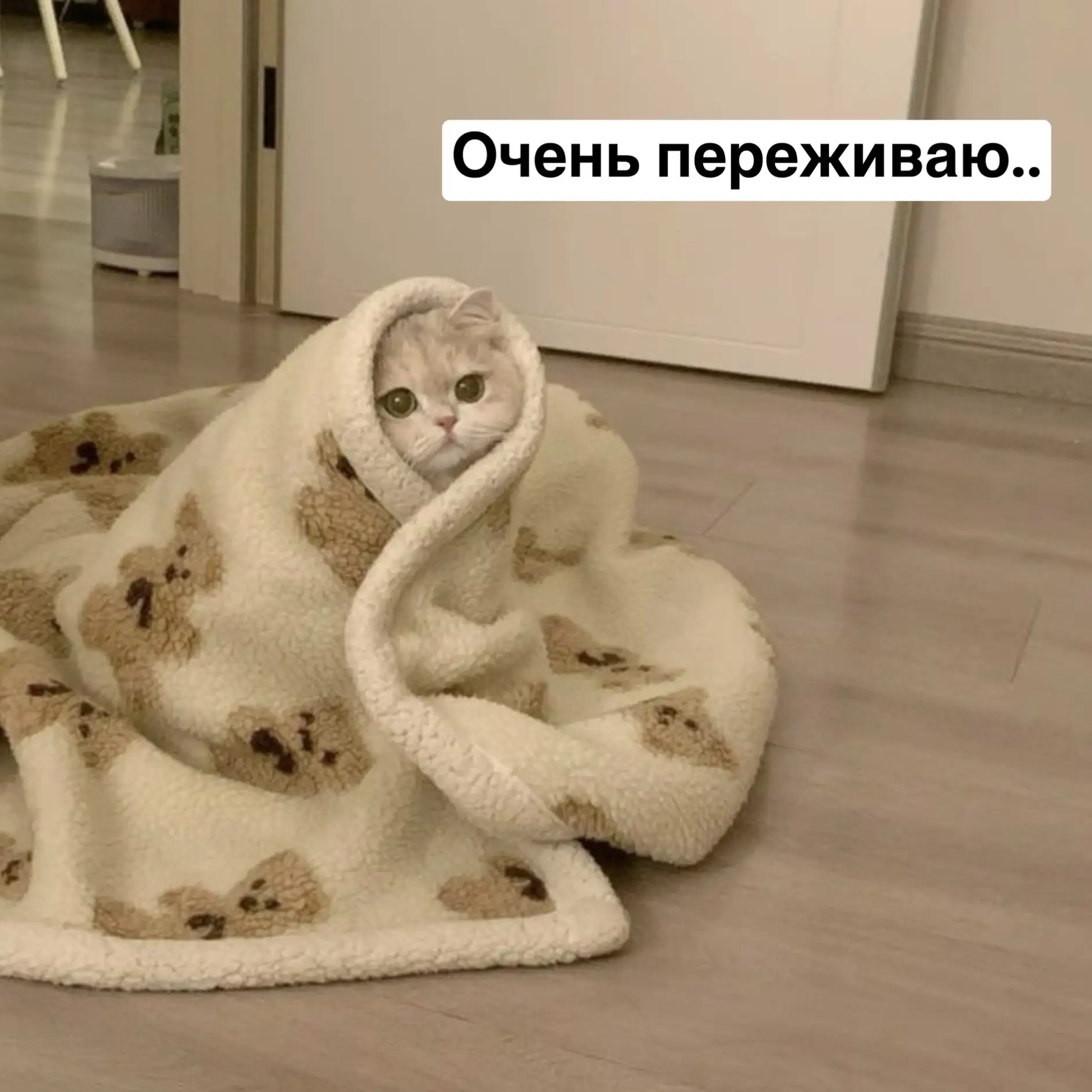 Первый день лета. А у меня ком в горле ☀️😐