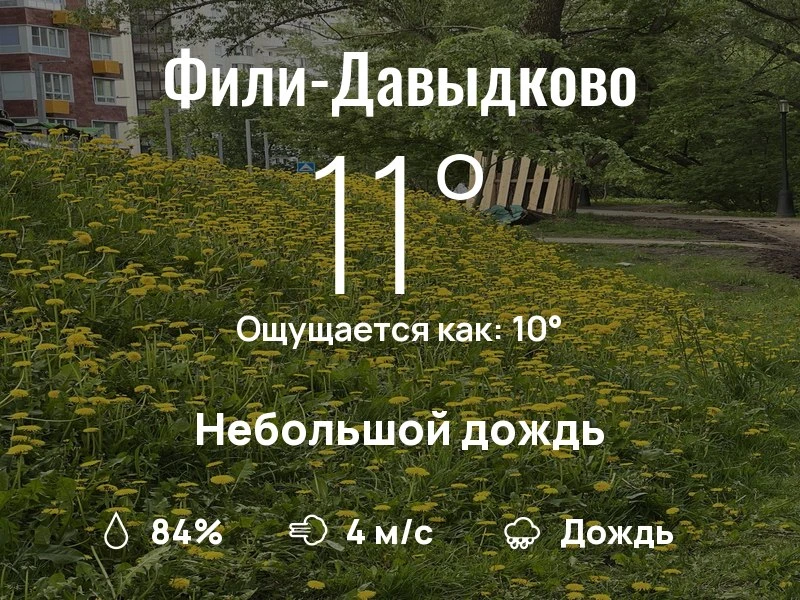 Что с погодой в Фили-Давыдково?