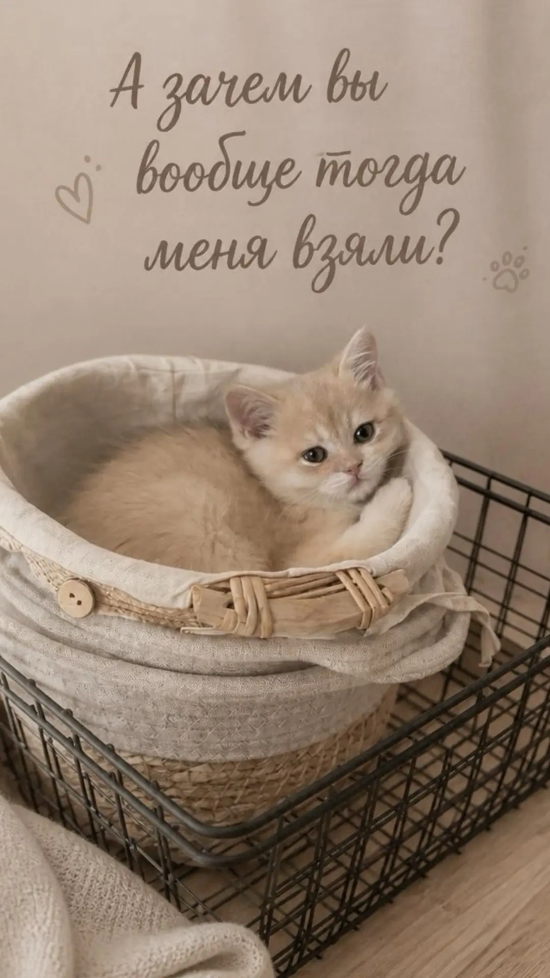 Ну действительно 😀 А вообще мы не злодеи 😉 между прочим, это его личный провод 😀
