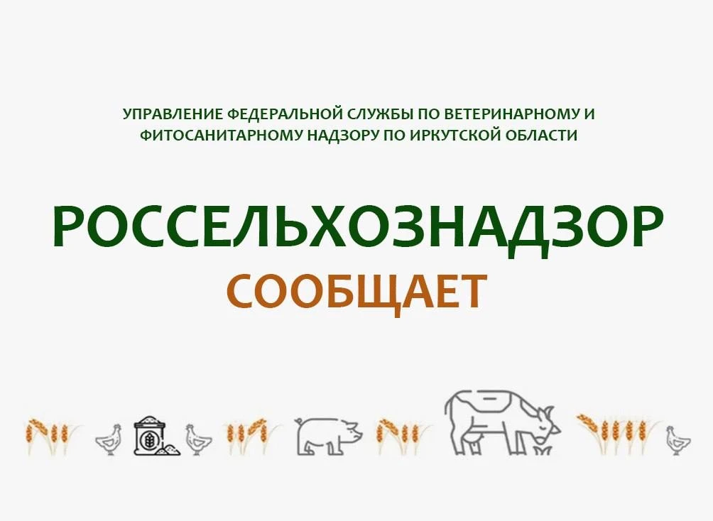Уважаемые жители!  В настоящее время в информационных мессенджерах распространяются объявления о про