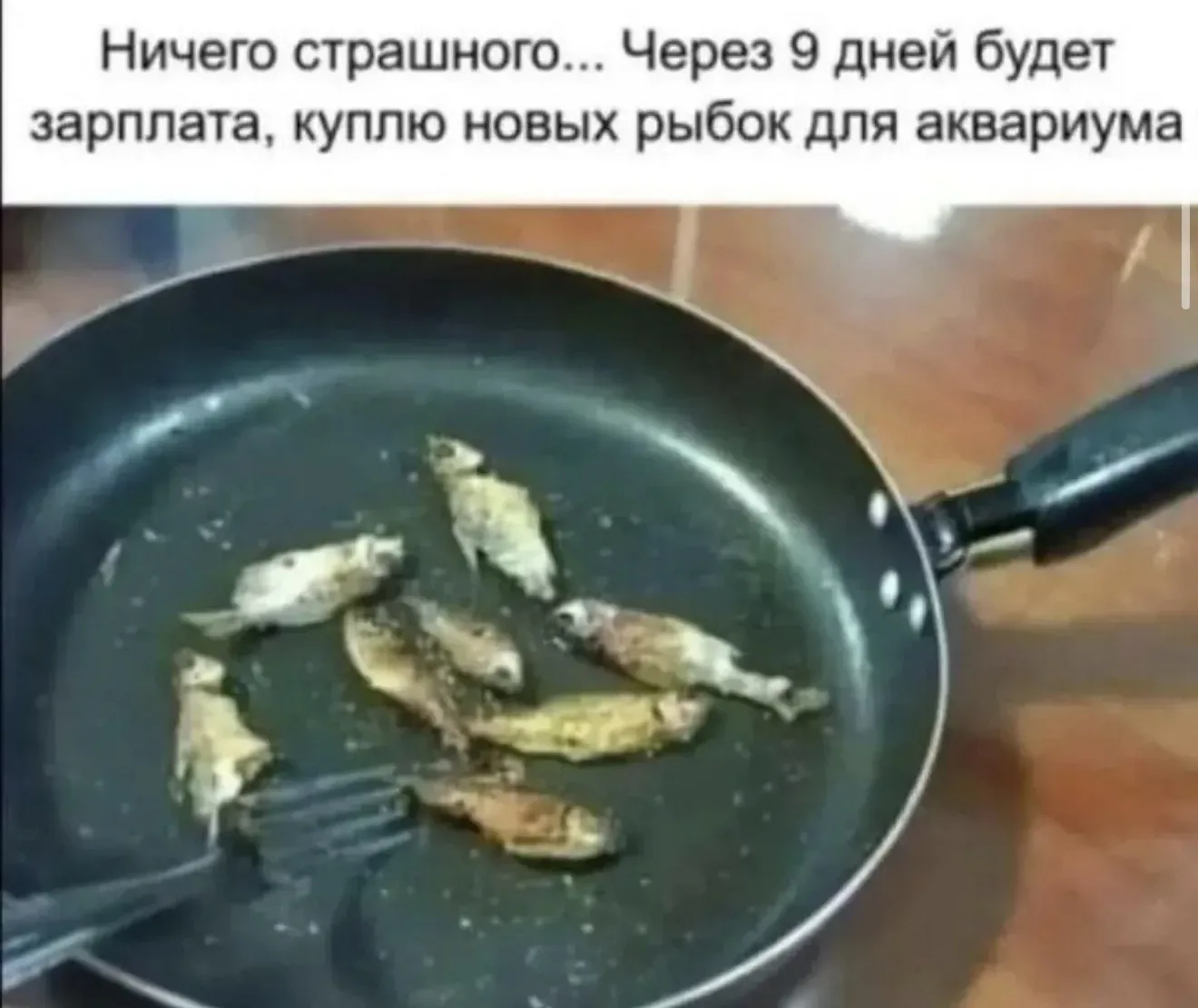 Девчата - Подписаться