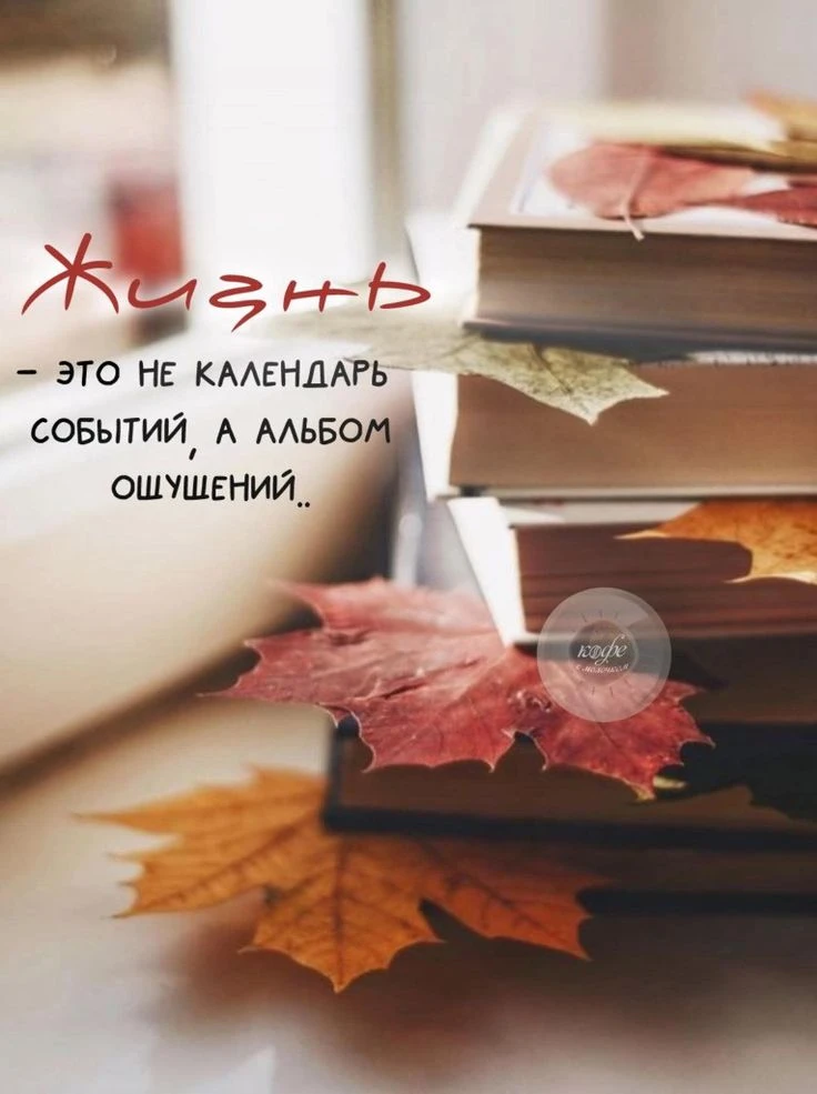 Доброе утро! 🌅
