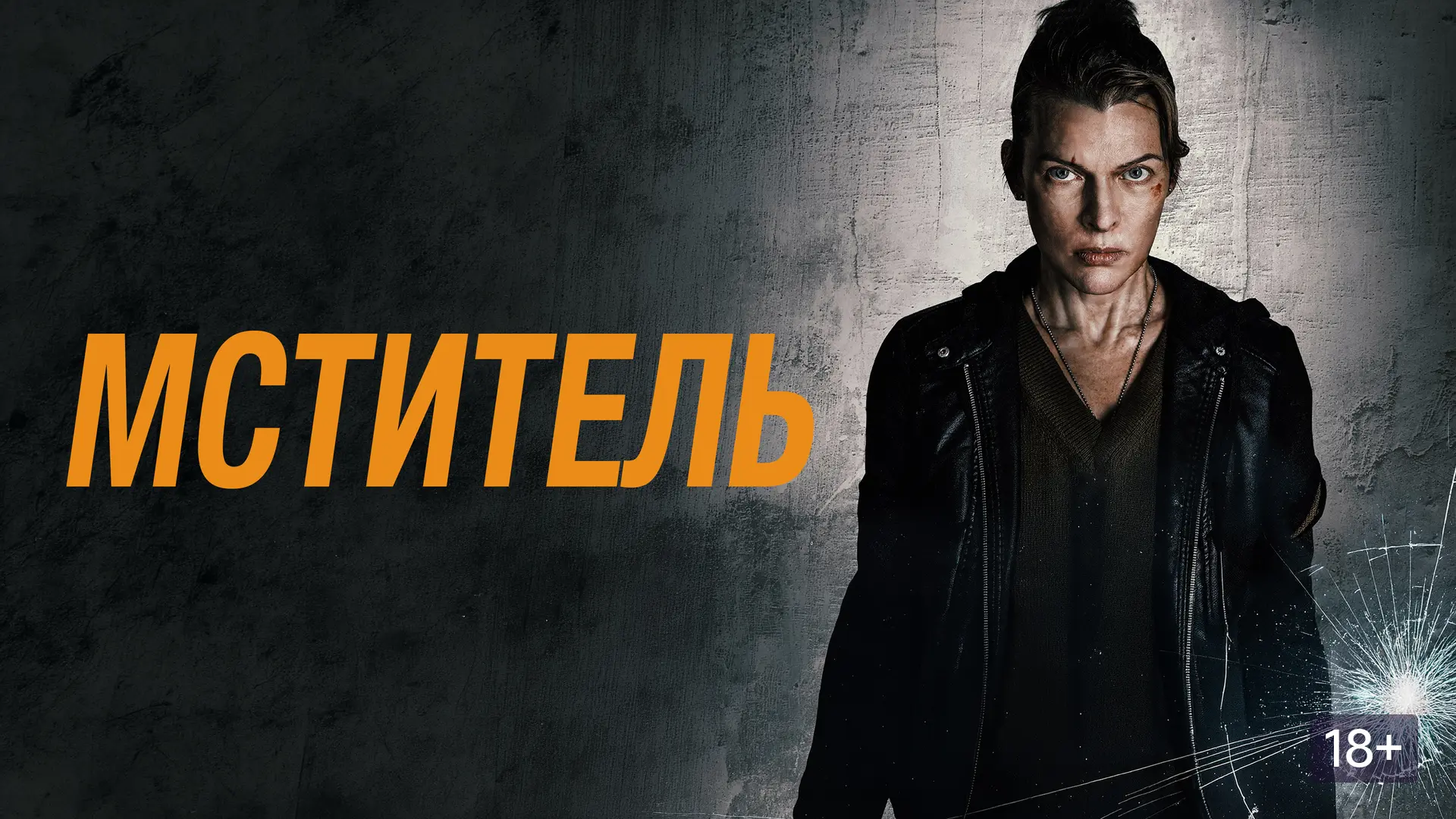 Жанр: боевик триллер