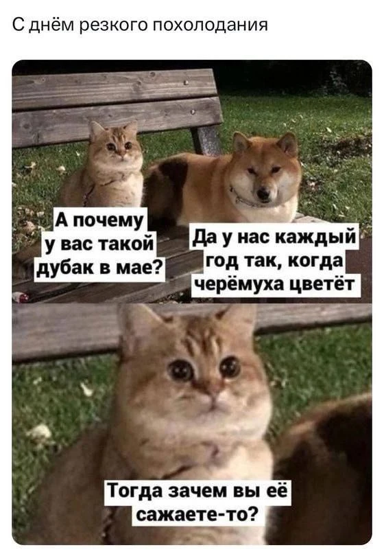 Доброе субботнее утро!   Сегодня республике вновь дождливо, а кое-где ожидаются осадки в виде мокрог