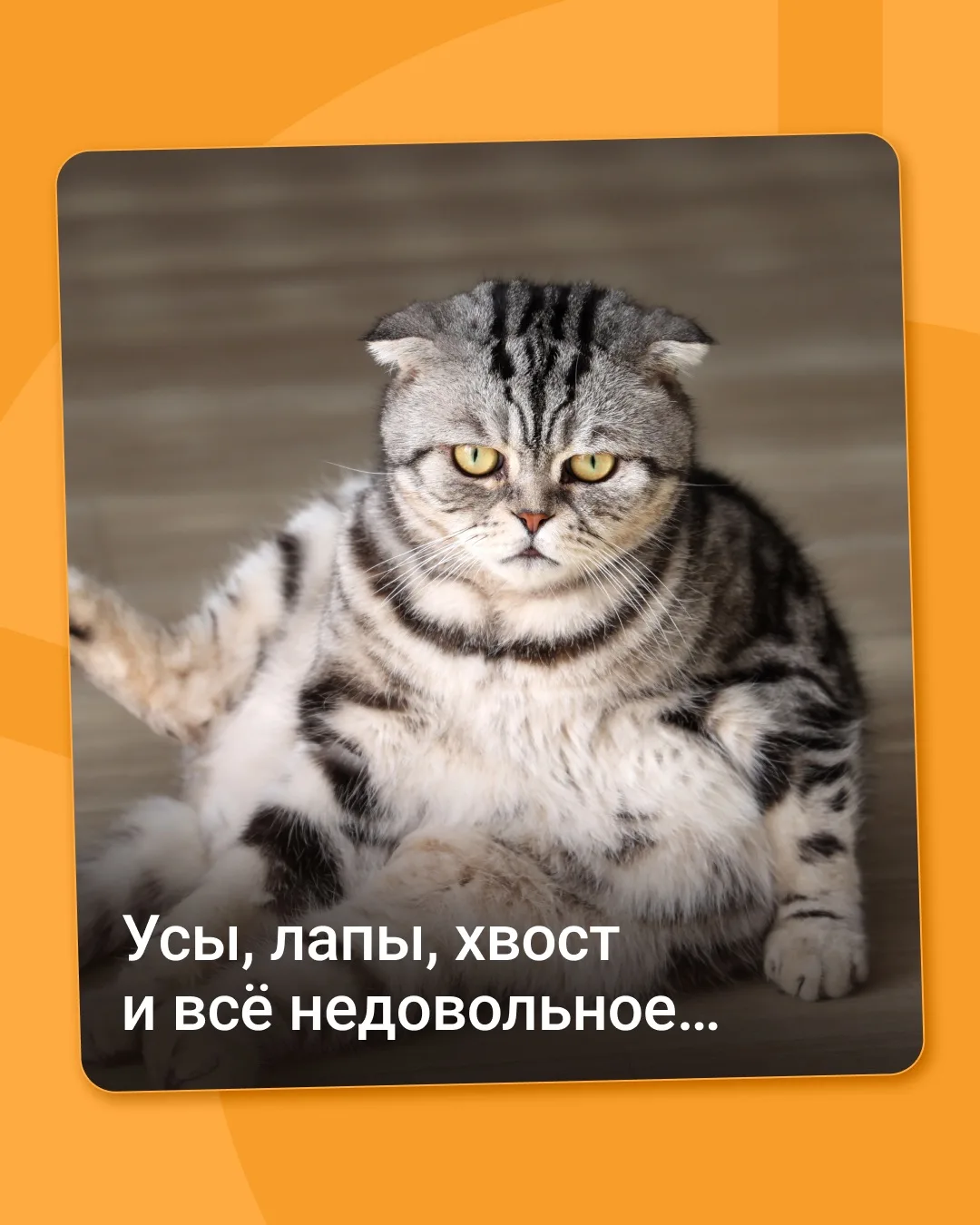 Долгожданные итоги конкурса Probalance 😍