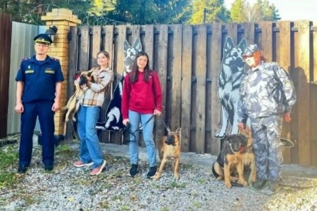 🐕 Четыре щенка служебных пород собак отправились в Подмосковье из свердловского племен...