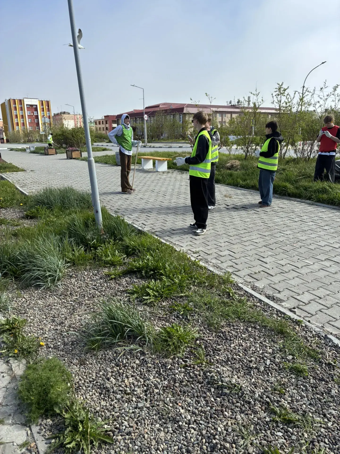 🌿 Трудовой отряд в деле: забота о памяти и городе! 🌿

Сегодня наши юные активисты из трудового отр