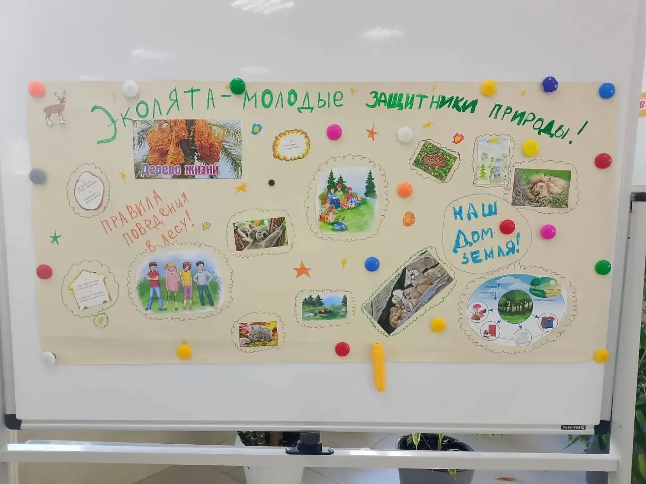 🌿 День юного натуралиста в лагере: стенгазета своими руками
15 июня в России отмечается День создан