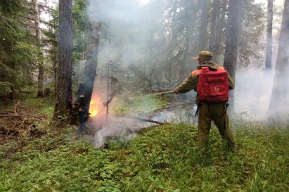 🚒 Огонь запрещен: в Хабаровском крае продолжает действовать особый противопожарный режим