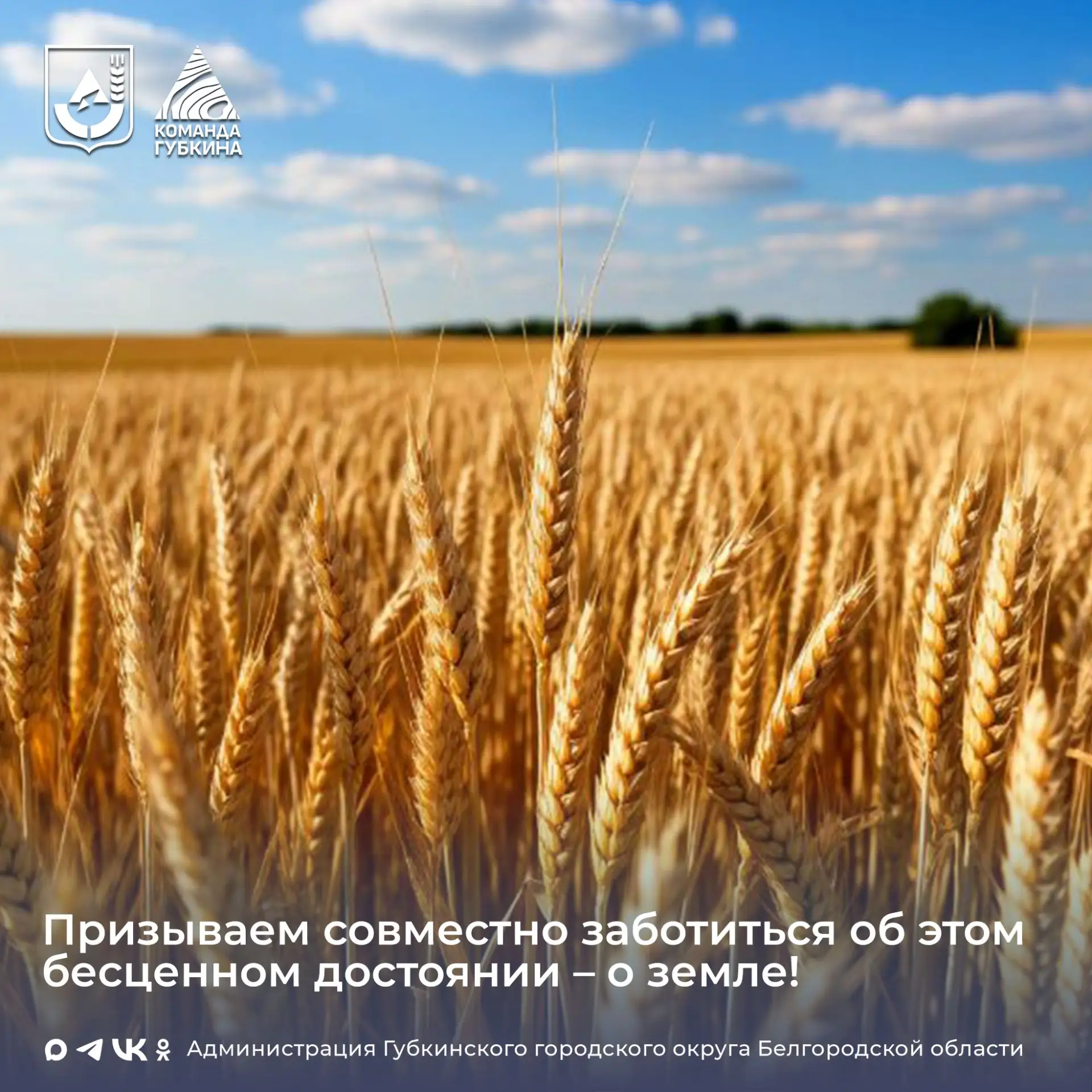 Отдел муниципального контроля администрации Губкинского городского округа напоминает ⁣ 🌿Необходимо с