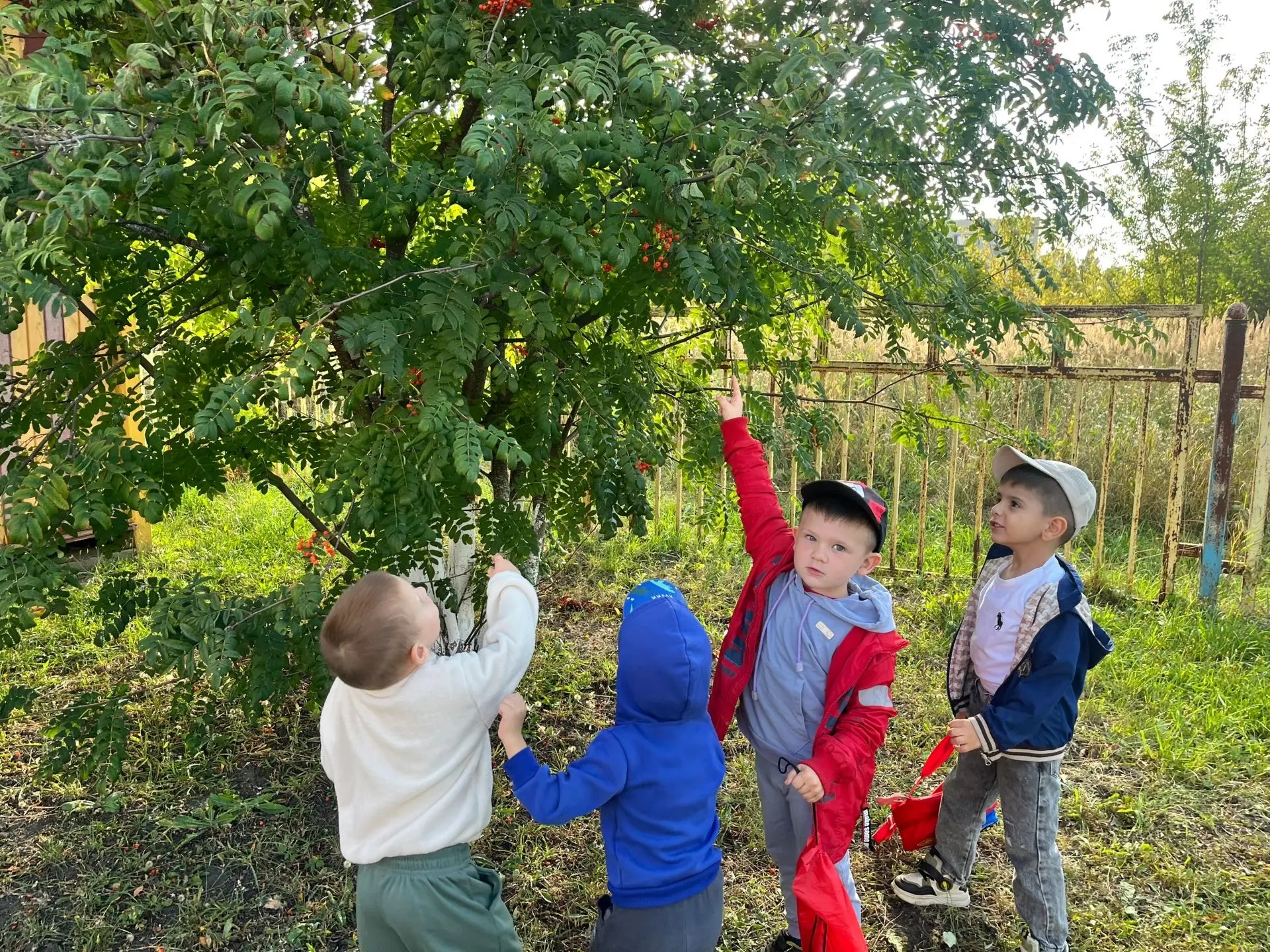 🍁🍂Весёлая осенняя мастерская. Наши «Смешарики» делали веточку рябины своими руками с ...