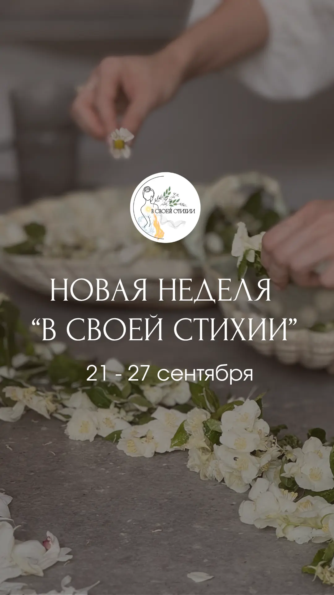 ✨ НОВАЯ НЕДЕЛЯ