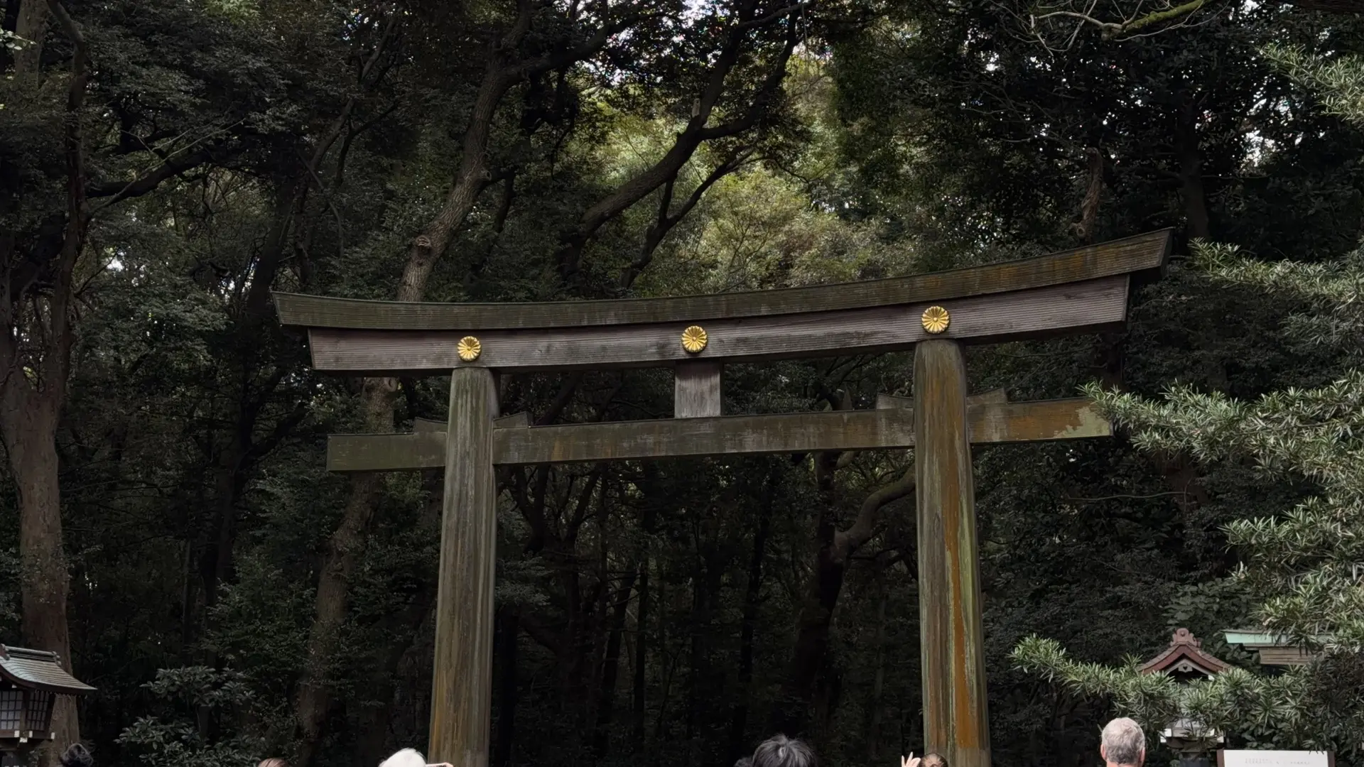 meiji jingu ⛩️