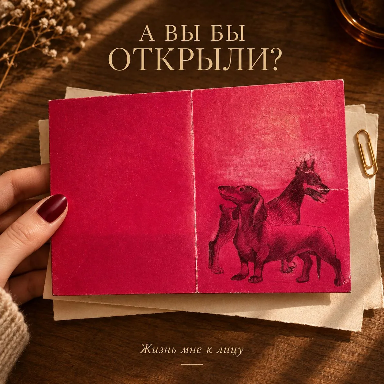 В предыдущей книжной части я остановилась на одном месте.
