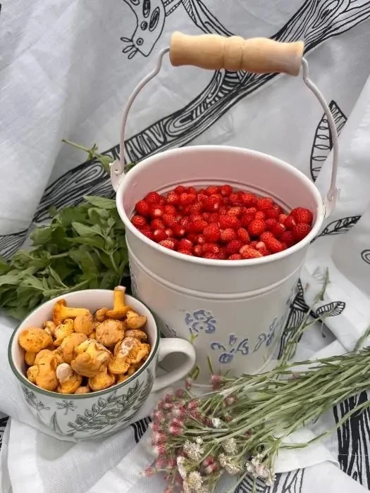 🍓 Первую лесную землянику собрали в Псковской области