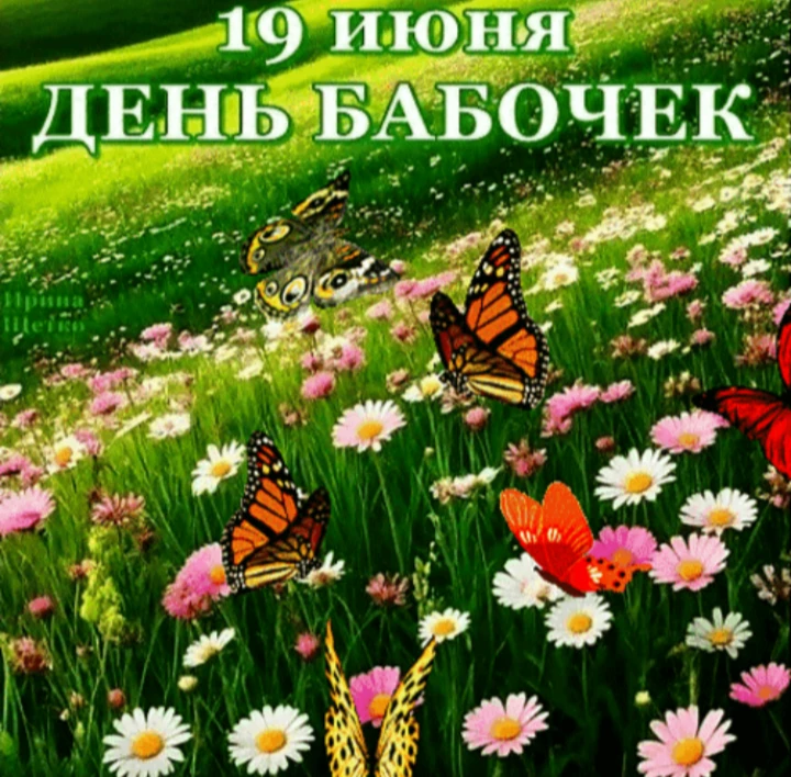 🦋 ДЕНЬ БАБОЧЕК!🦋

19 июня отмечается необычный и красивый праздник – Международный день бабочек. Н