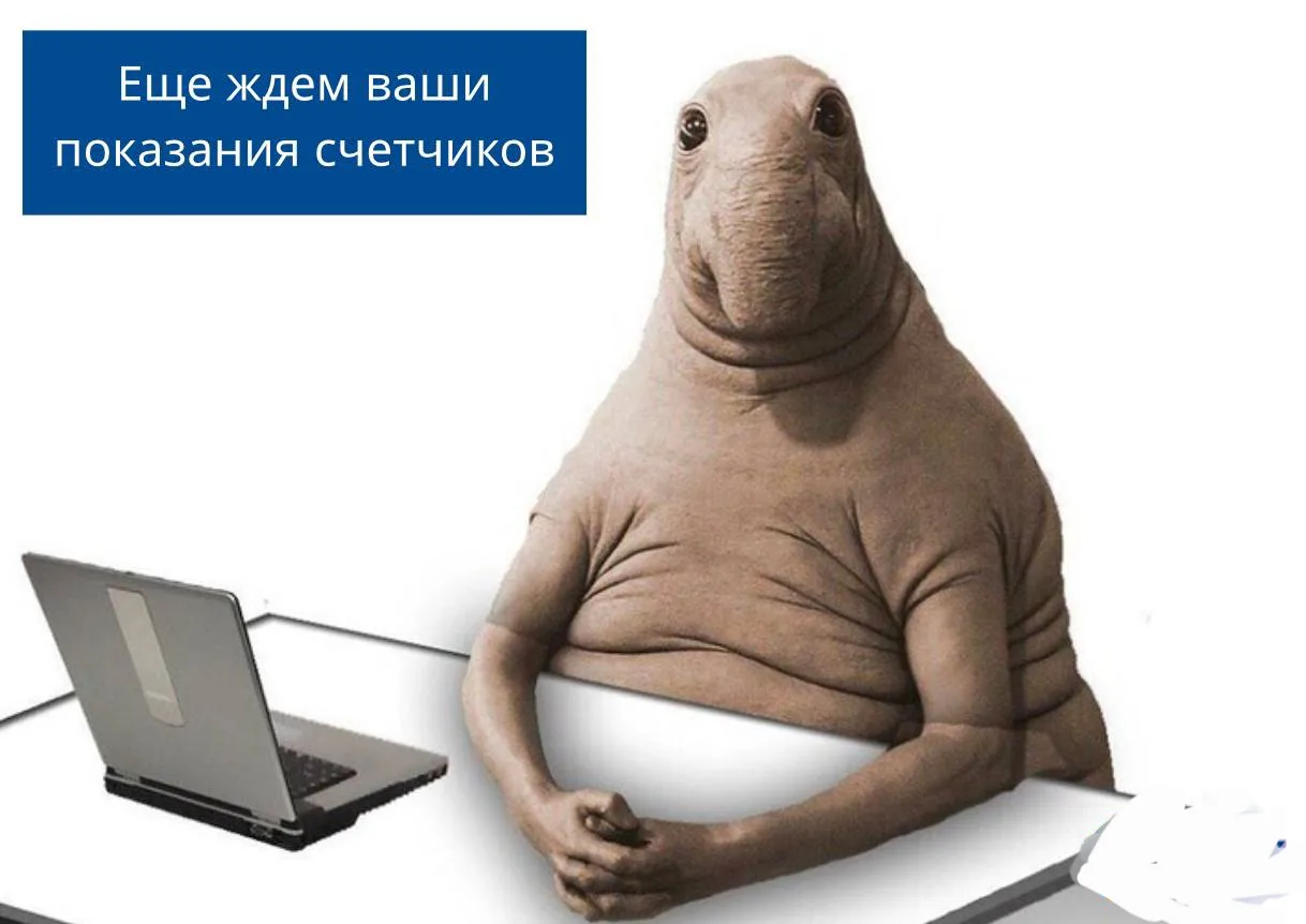Уважаемые жители ТСЖ КОСТЕР.