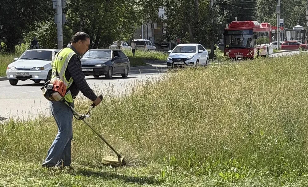 Проект «Пермь в порядке»: подрядчики косят траву и сорняки на газонах, очищают колодцы и сети ливнев