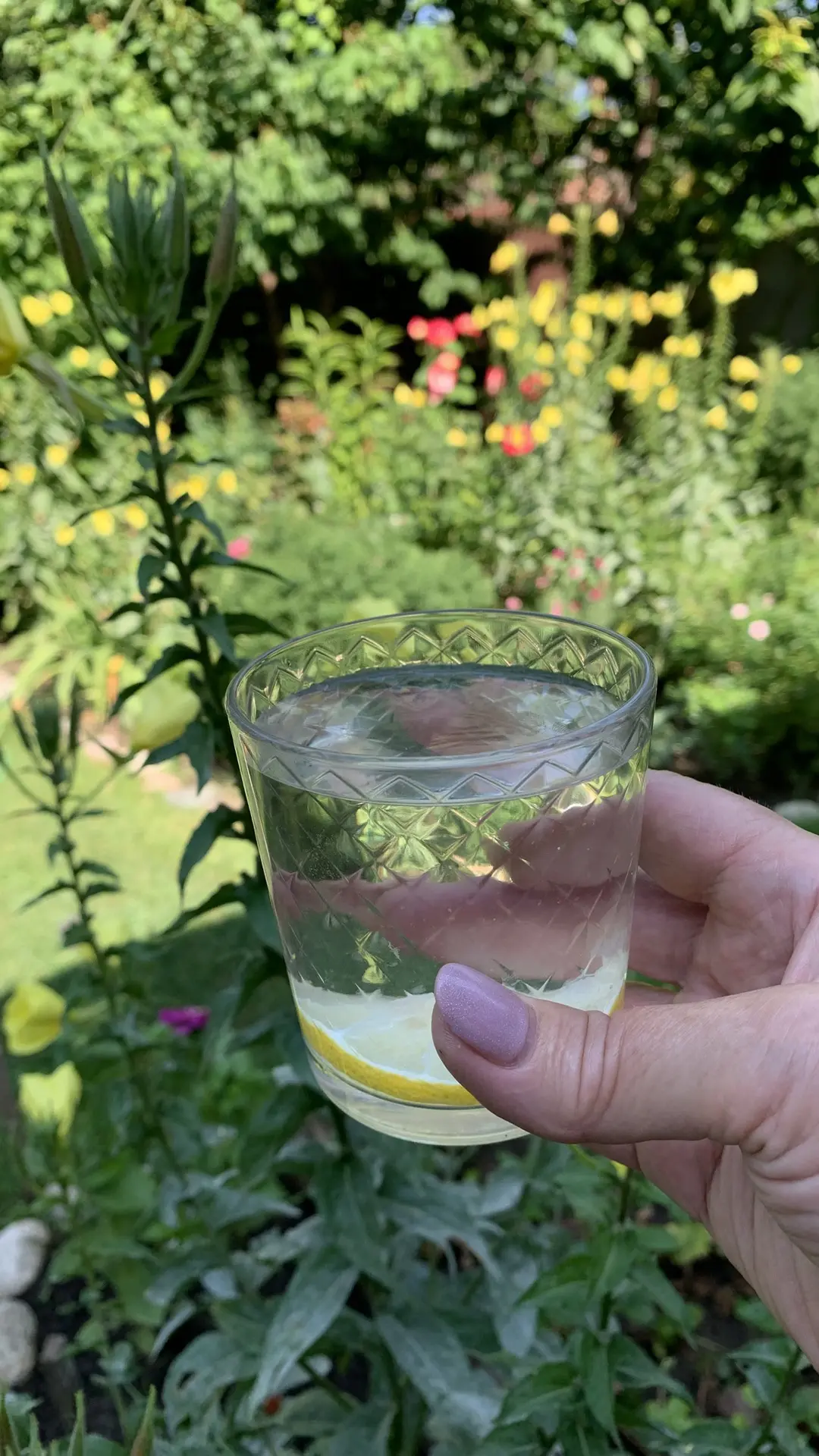 С добрым летним утром🌞