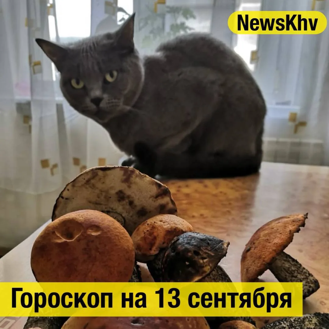 Овен ♈️