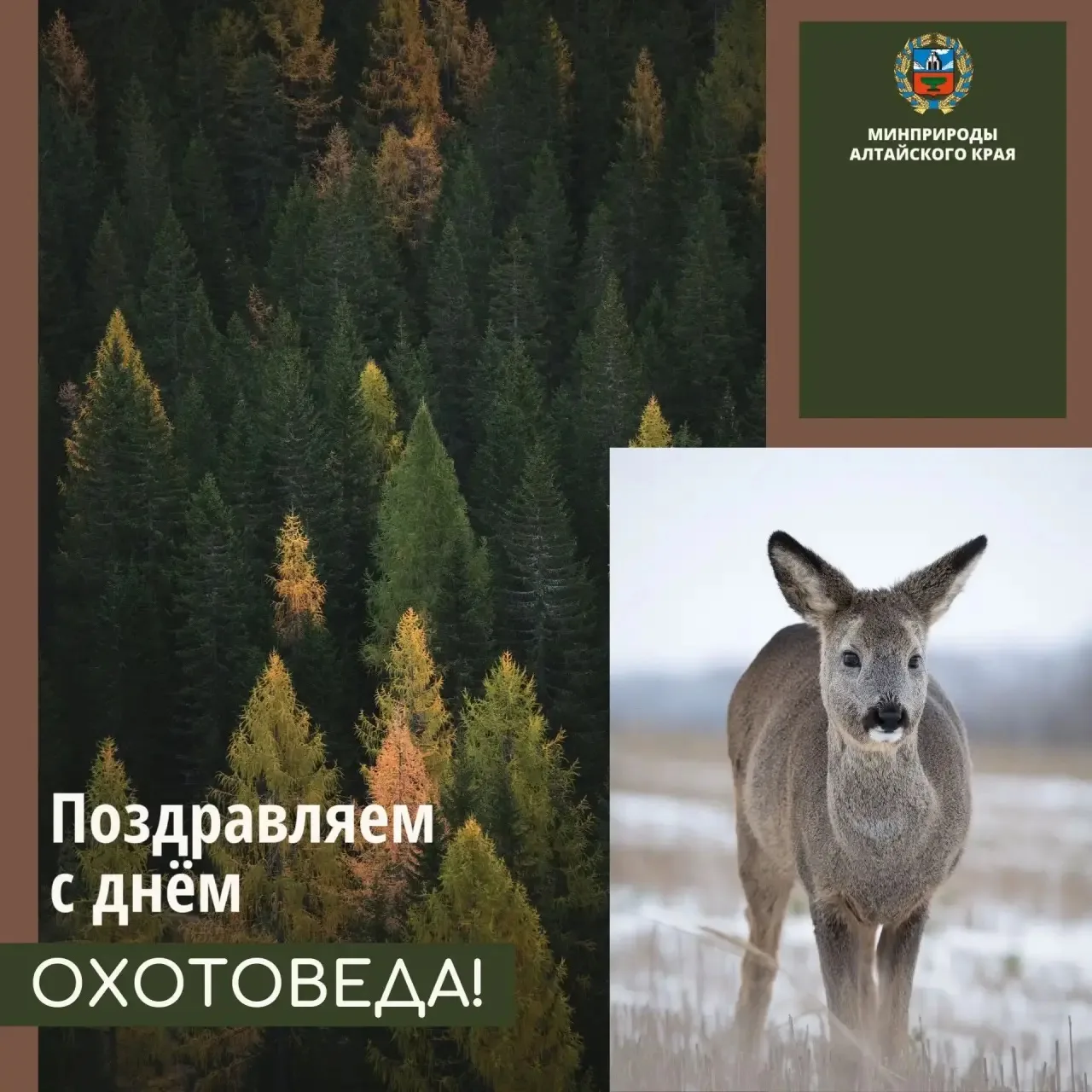 От лица Министерства природных ресурсов и экологии Алтайского края и от себя лично позд...