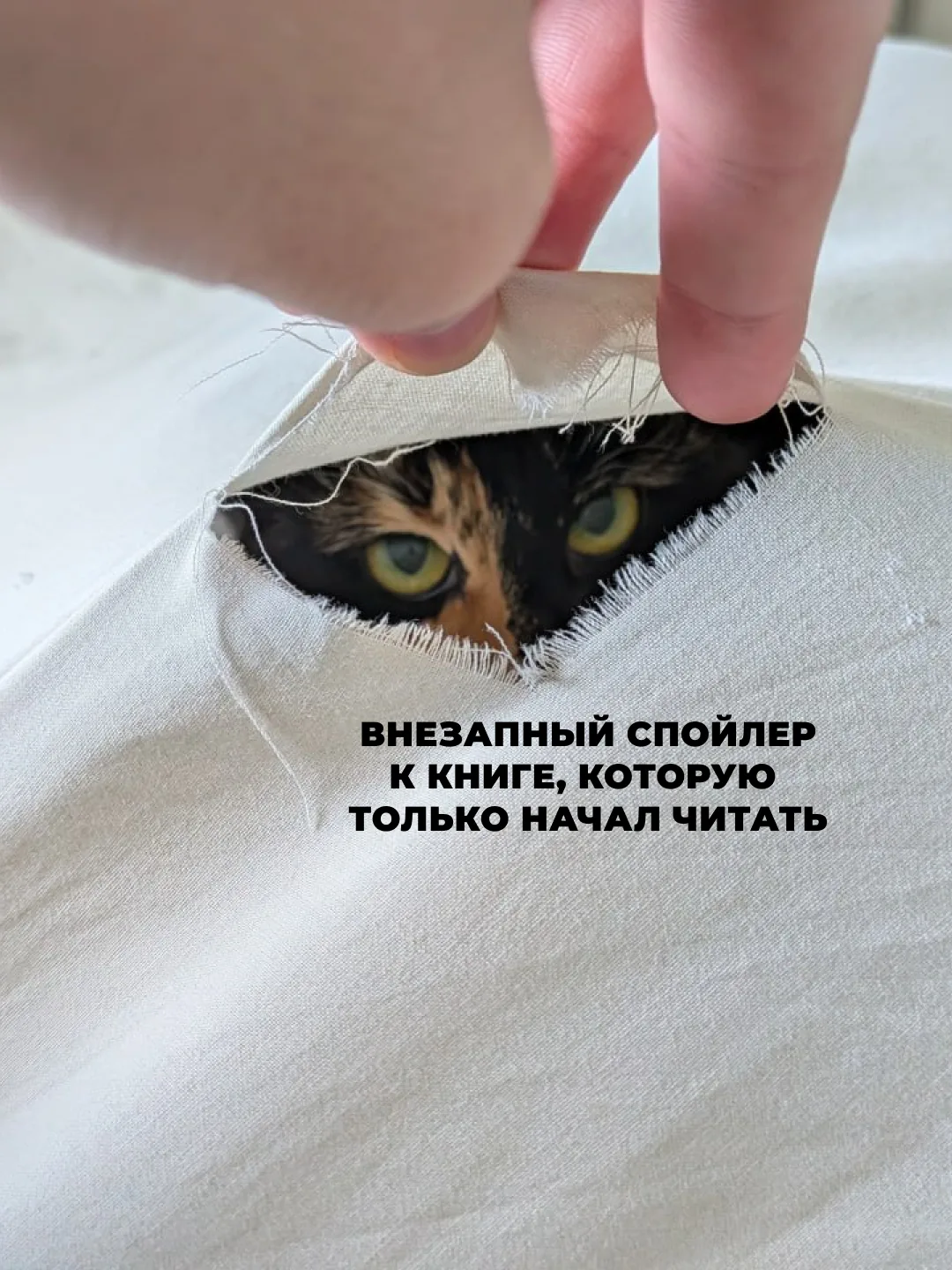 Доброе утро, книголюбы!