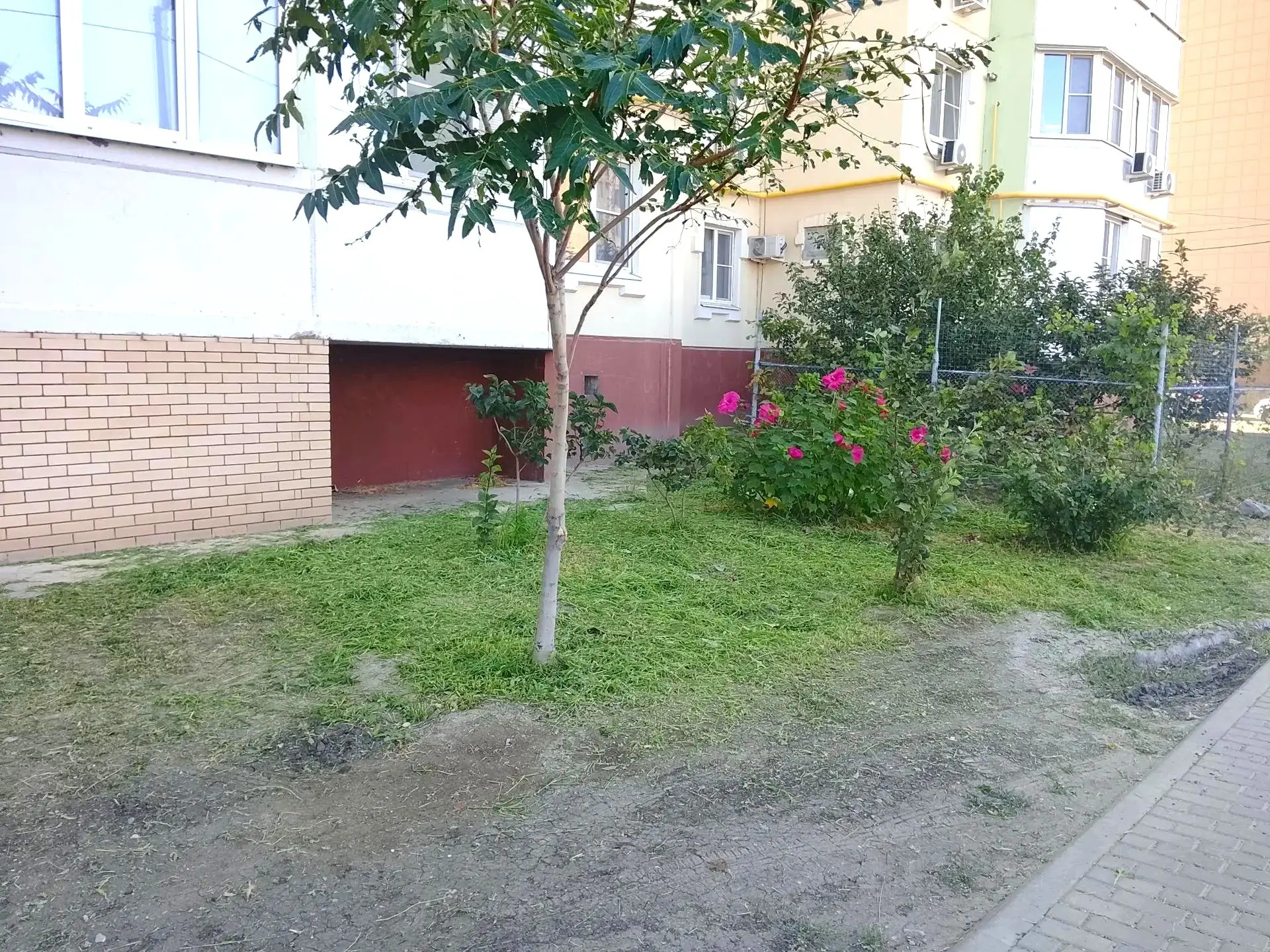 К новости «🌼 Гармония зелени: ухоженный газон»