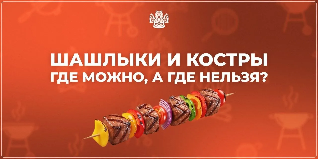 🍢 Где жарить шашлыки, чтобы не «прожариться» на штраф