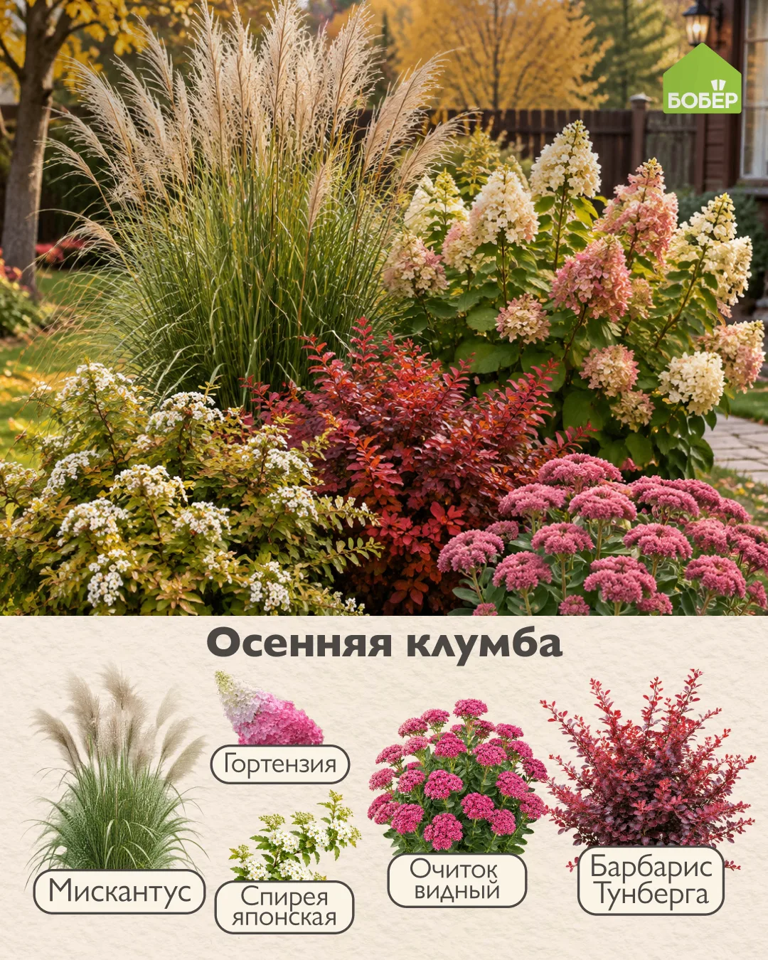 Цветы, которые не боятся холодов ❤