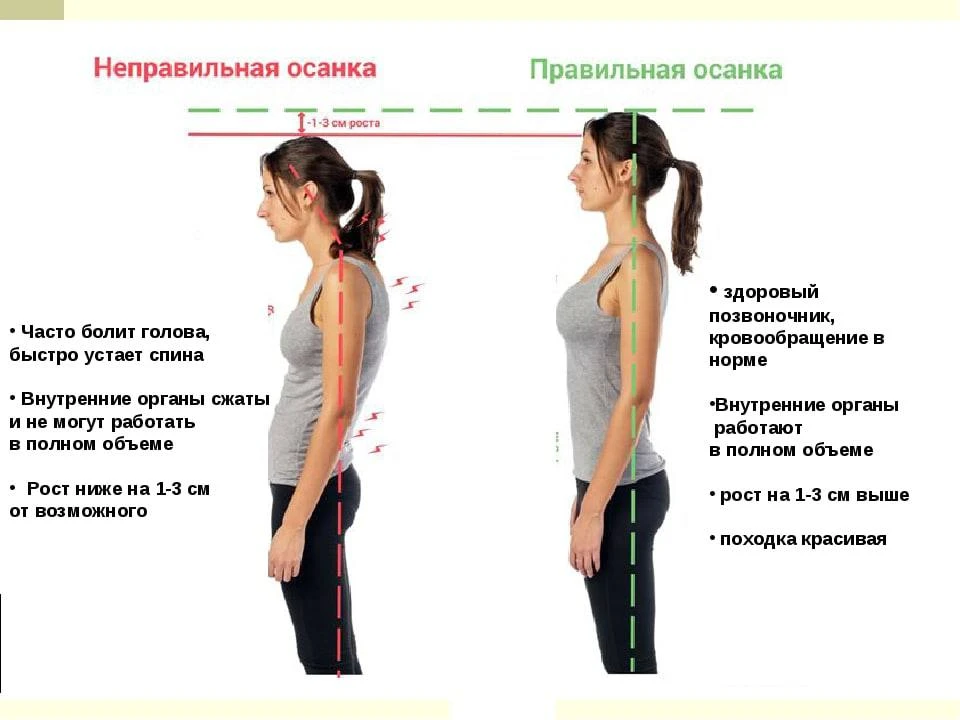 Чем сильнее вы сгорбитесь, тем сильнее сжаты ваши внутренние органы, включая желудочно-...