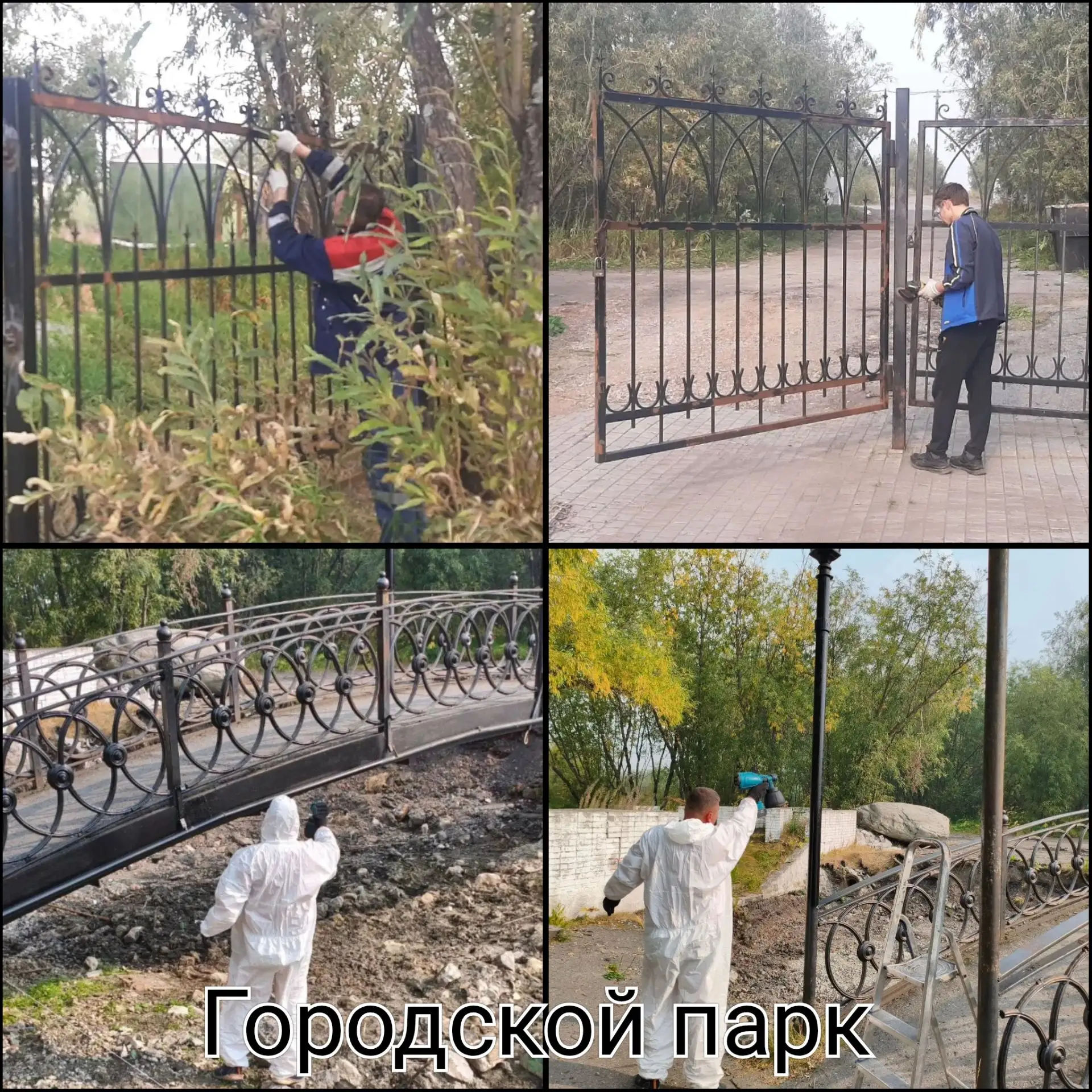 19.08.2026