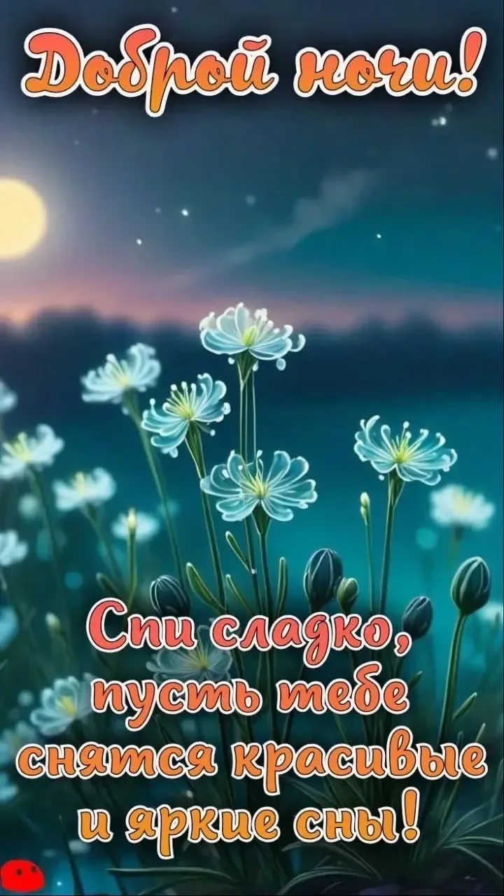 ✨Мир открыток 
👉Подписаться