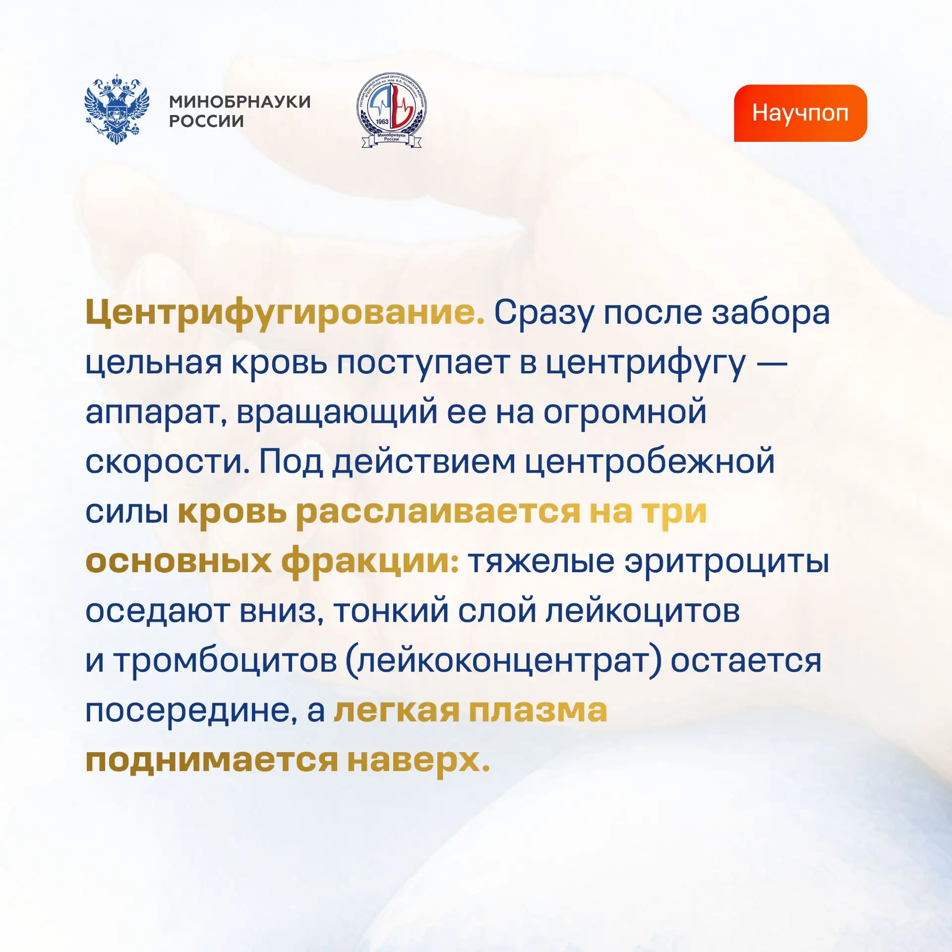 Путь донорской крови: от вены до спасения жизни