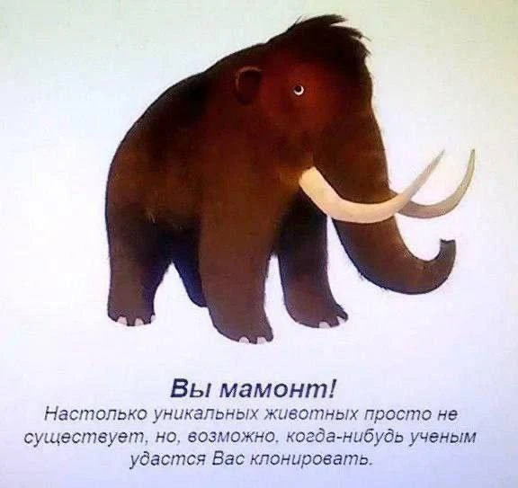В ZAMAN MUSEUM расскажут, как Урало-Поволжье стало обитаемым