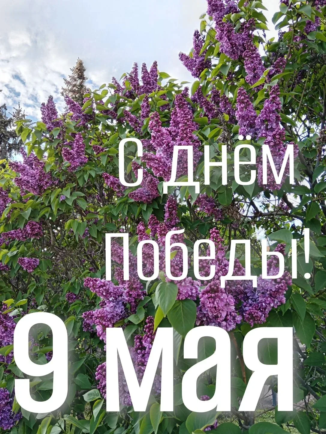 Наши деды и прадеды выжили и победили в Великой Отечественной войне не для того, чтобы кто-то обижал