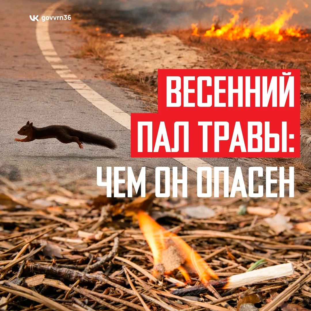 С наступлением весны резко увеличивается количество возгораний сухой травы. Причиной мо...