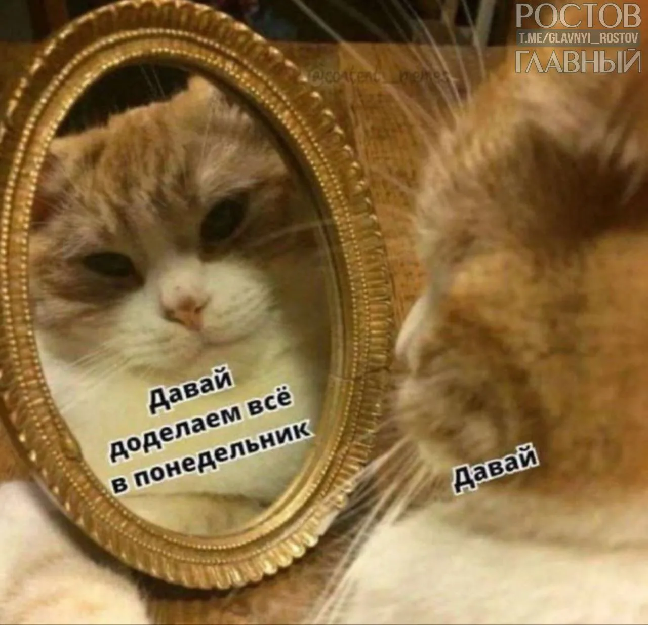 😏 Настроение этого дня

@glavnyi_rostov — Ростов Главный в Мах
🗨Комментарии в чате
