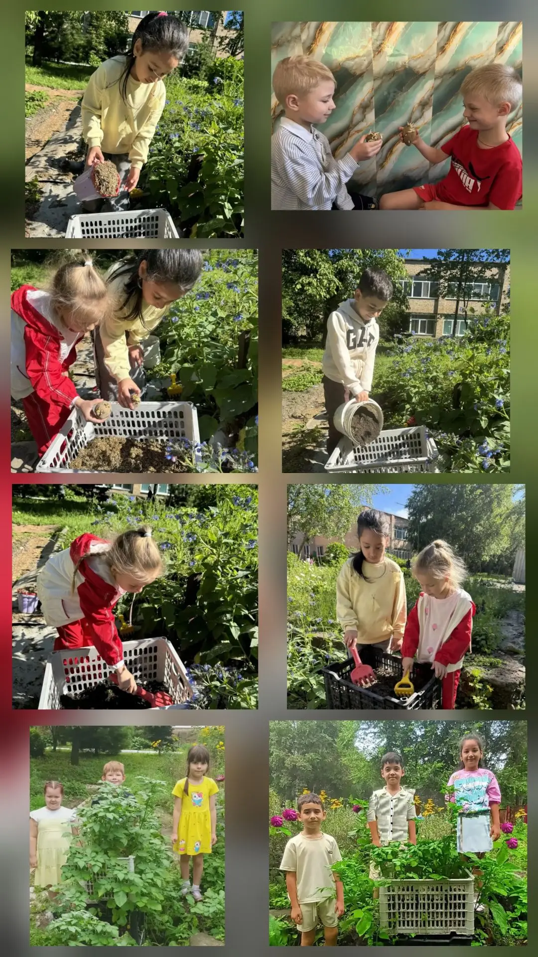 🌱 Вертикальная грядка 🌱