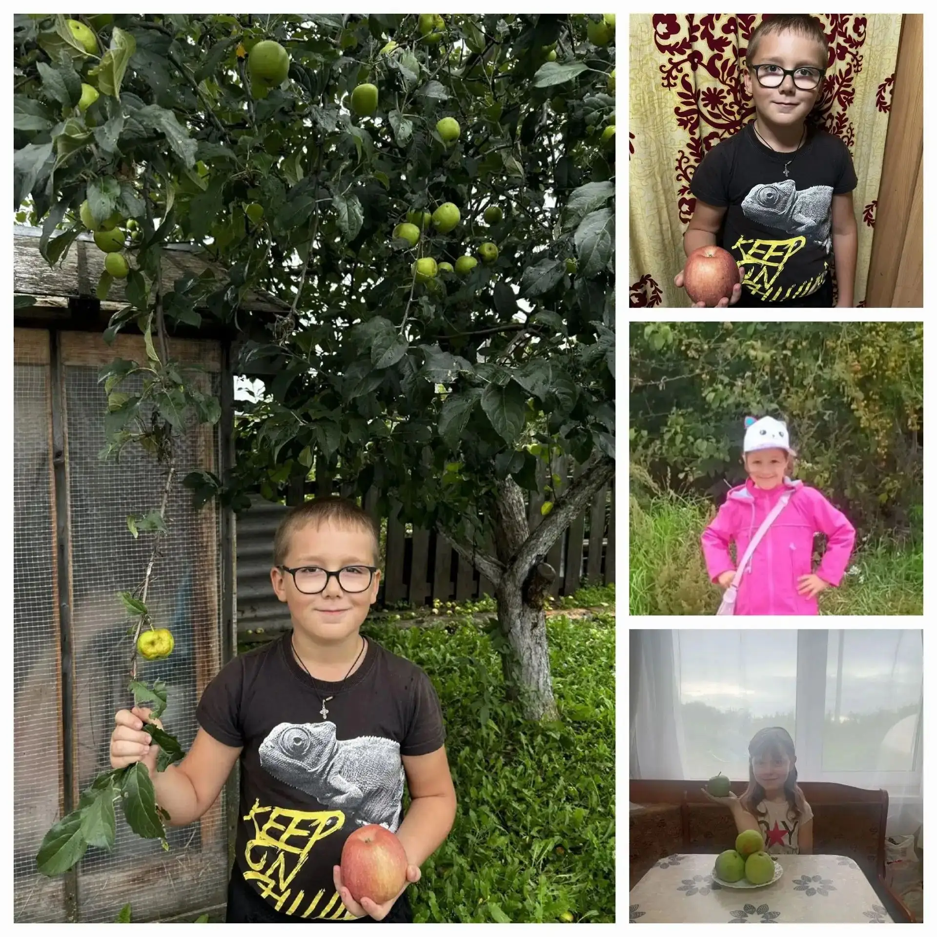 🍏«Яблочный банкет»🍎Август — удивительное время, когда лето ещё не спешит уступать мес...