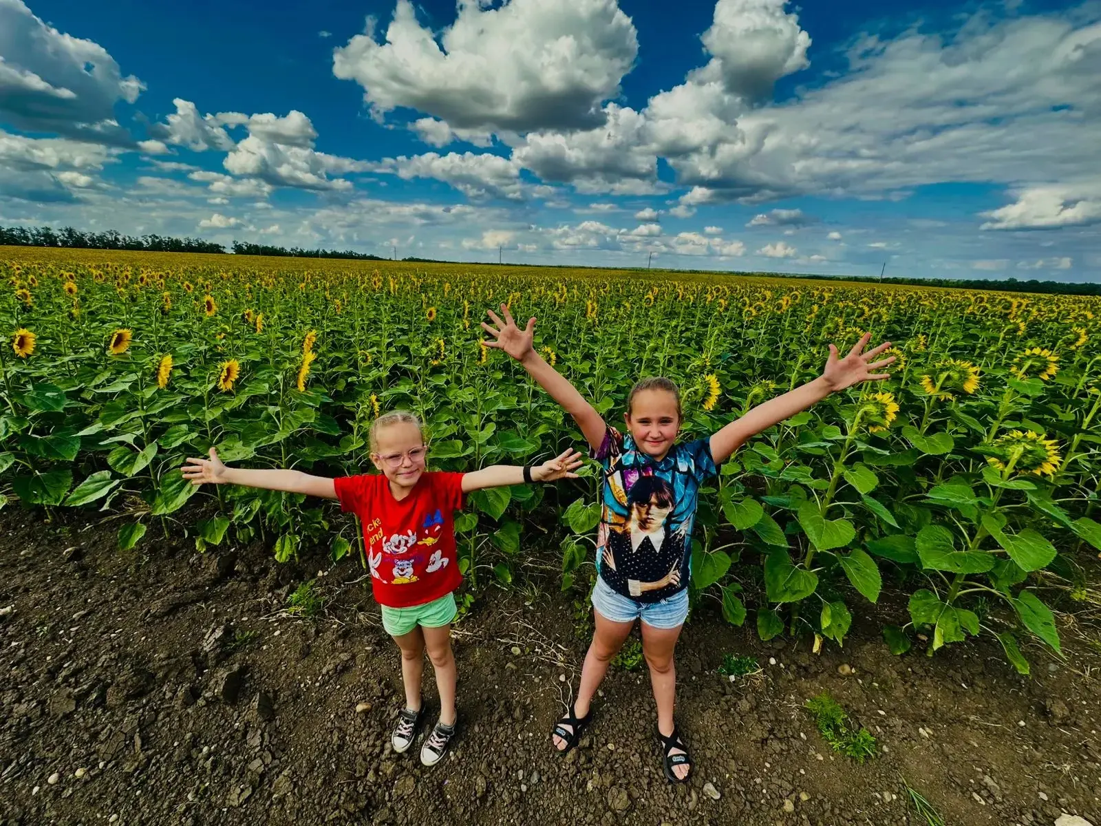 🌞***Пусть лето дарит силы перед новым учебным годом ***

☀Каникулы - это время, когда можно набрать