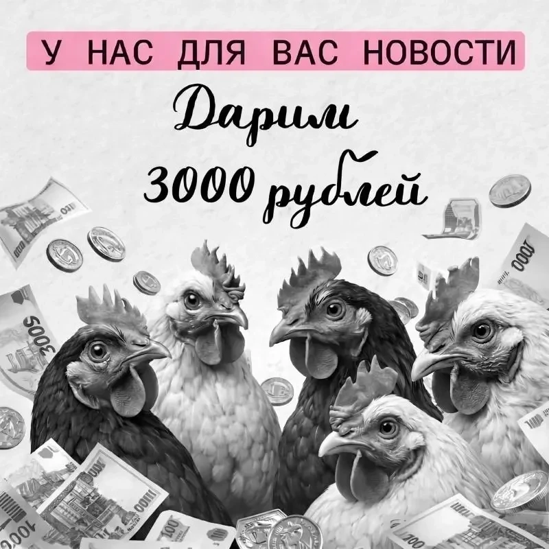 ЗАБЕРИ 3000 🤑 ЗА ПАРУ КЛИКОВ! 💸Будет 1 победитель.⚡️