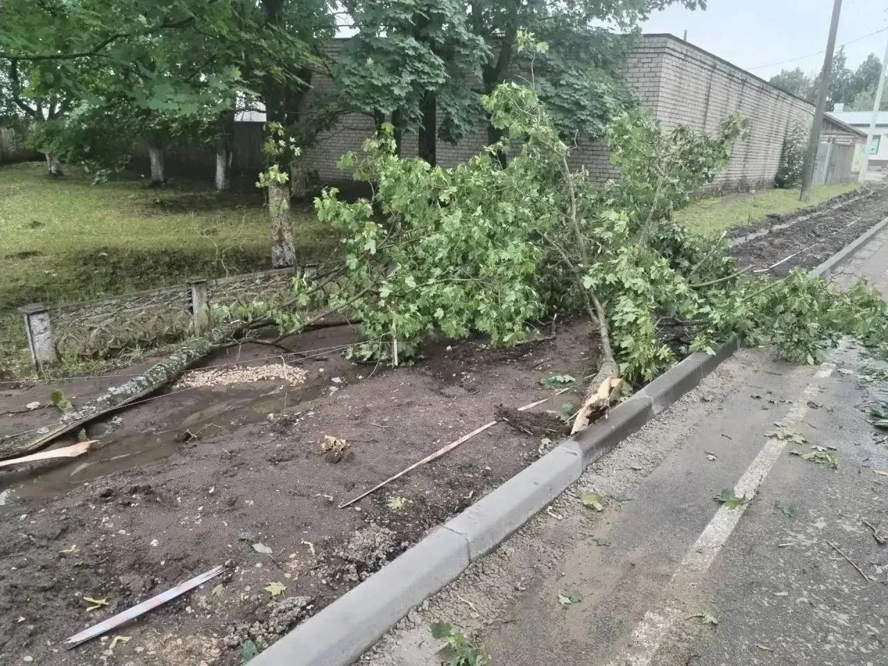 🏙 Деревья попадали в Слободском

После сильной грозы были повалены десятки деревьев, некоторые пере