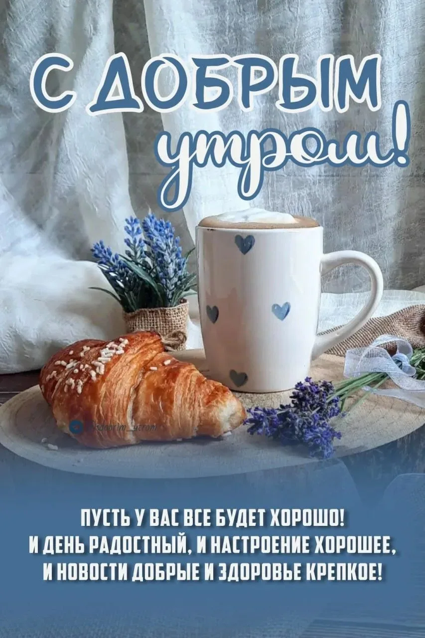 Доброе утро и хорошего дня!❤️