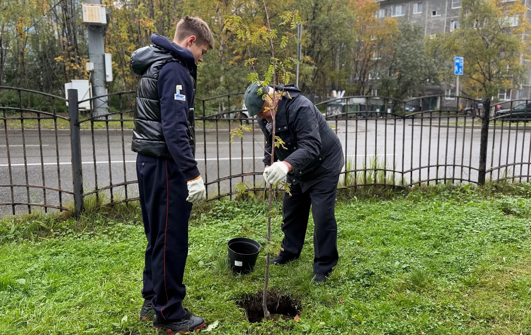 🌳 Полиция Заполярья присоединилась к экологической акции «Зеленый рекорд»