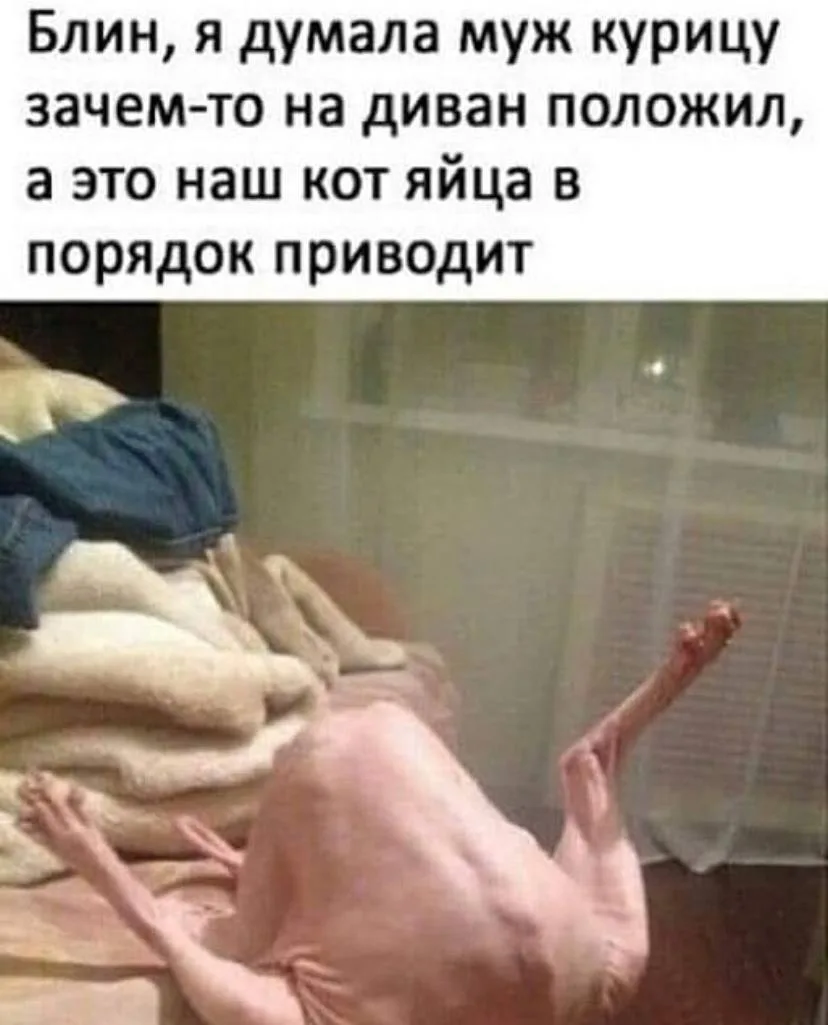 Злючка