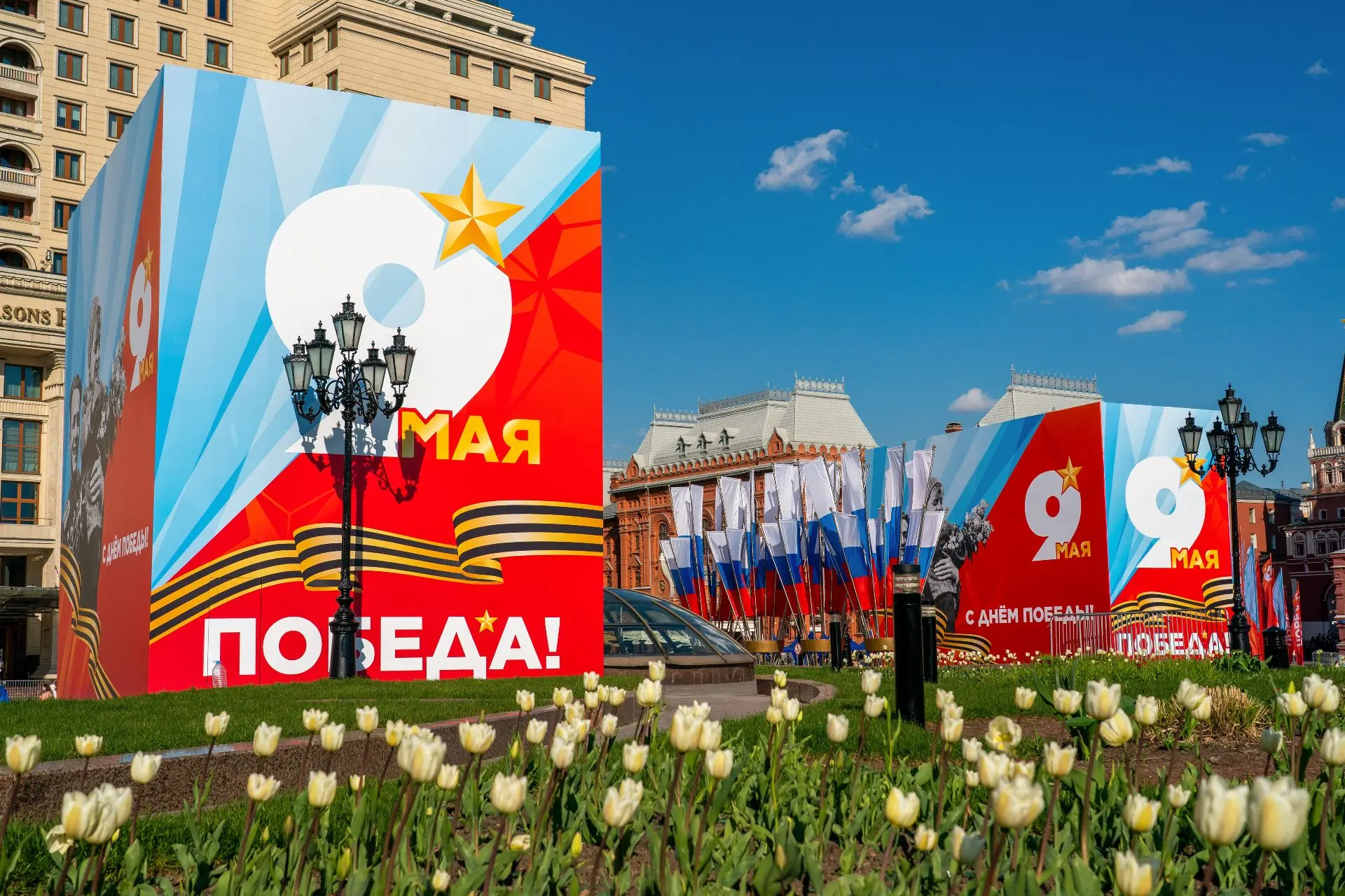Первые тюльпаны распустились на столичных клумбах   «Первые тюльпаны распустились на клумбах в Москв