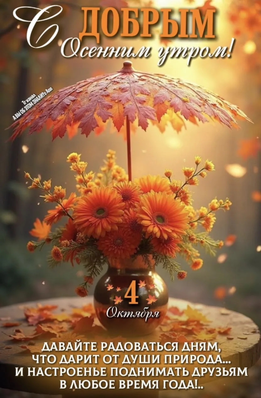 ЛУЧШИЕ ОТКРЫТКИ🙏