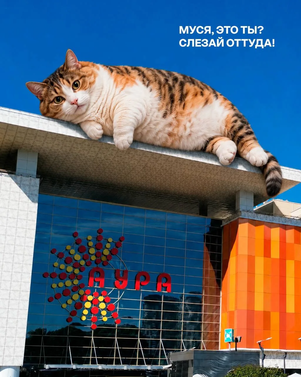 Муся, ты где?! В Ауре!

Муся побывала почти везде, только выиграть 10 000  на отдых забыла 😃

Вы мо